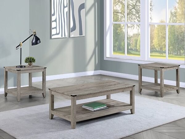 4220SET MILTON 3-PK COCKTAIL SET