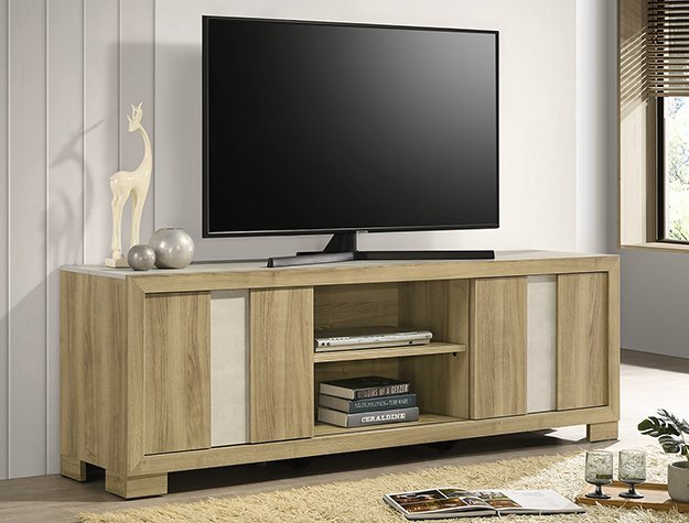 B6832-99 RANGLEY TV STAND - DRIFTWOOD